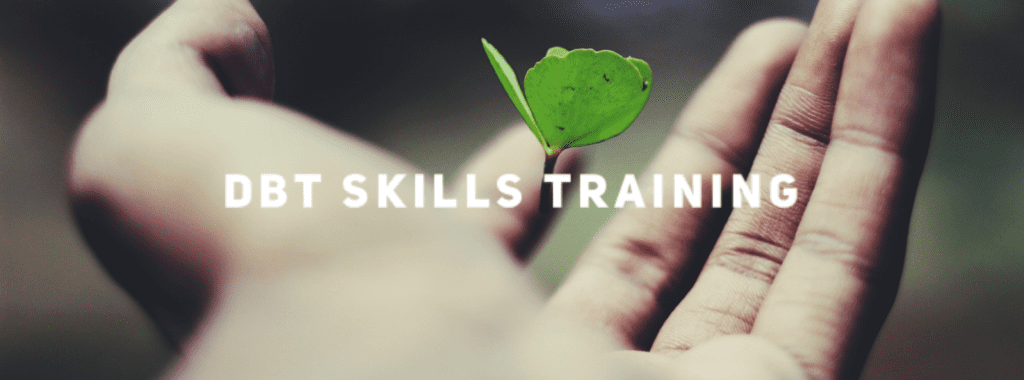 DBT Skills Training